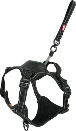 Zolux Harnais Chien EasyRide Avec Laisse Enrouleur Noir L