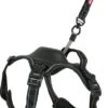 Zolux Harnais Chien EasyRide Avec Laisse Enrouleur Noir XL -lacompagniedesanimaux 00107334 2 sur 3 2