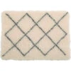 Zolux Tapis Isolants Pour Chiens 50 X 70 Cm Beige. -lacompagniedesanimaux 3336020770201 2