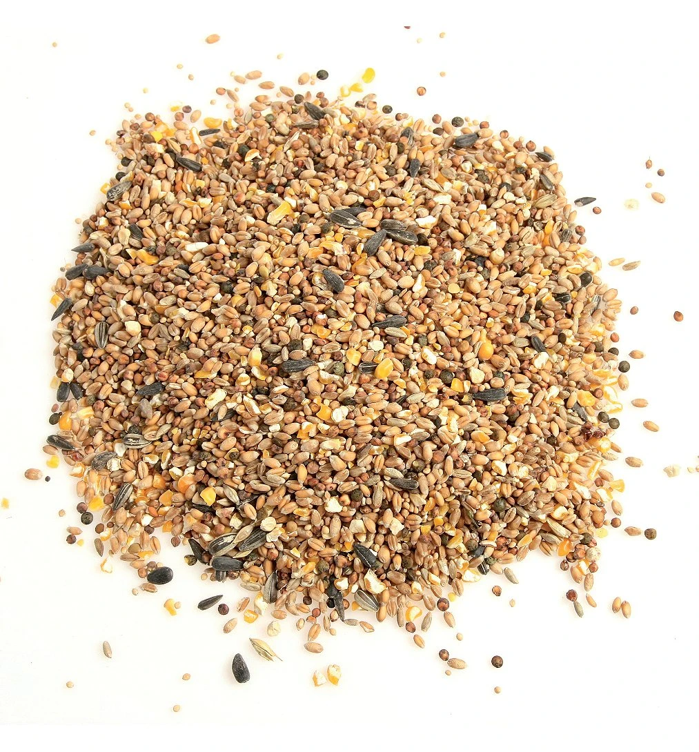 Zolux-Sac De Mélange Pour Oiseaux De La Nature - 12kg 4 Zolux-Sac De Mélange Pour Oiseaux De La Nature - 12kg – Image 2
