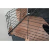 Zolux Cage Indoor2. 100 Rose. Pour Rongeur 103 X 63 X Hauteur 40 Cm. 2 Zolux Cage Indoor2. 100 Rose. Pour Rongeur 103 X 63 X Hauteur 40 Cm. -lacompagniedesanimaux 3336022051131 2