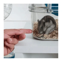 Zolux Cage Duo Rody3. Couleur Grenadine. Taille 41 X 27 X 40.5 Cm H. Pour Rongeur -lacompagniedesanimaux 3336022060201 4