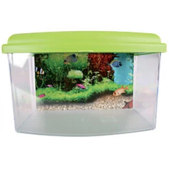 Zolux Aqua Travel Box II, Médium, Taille 28 X 20 X H 17 Cm, Pour Poisson Couleur Aléatoire -lacompagniedesanimaux 3336023030371 4