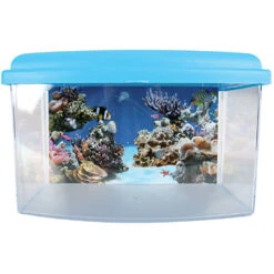 Zolux Aqua Travel Box II, Médium, Taille 28 X 20 X H 17 Cm, Pour Poisson Couleur Aléatoire -lacompagniedesanimaux 3336023030371 5
