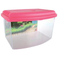 Zolux Aqua Travel Box II, Médium, Taille 28 X 20 X H 17 Cm, Pour Poisson Couleur Aléatoire -lacompagniedesanimaux 3336023030371 6