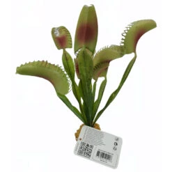 Zolux Plante Carnivore Artificielle, Décoration Aquarium, H 21 Cm -lacompagniedesanimaux 3336023521206 5