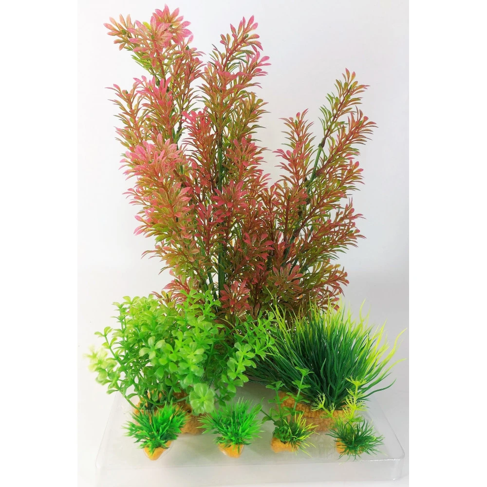 Zolux Déco Plantkit Idro N°1. Plantes Artificielles. 7 Pieces. H 36 Cm. Décoration D'aquarium. 4 Zolux Déco Plantkit Idro N°1. Plantes Artificielles. 7 Pieces. H 36 Cm. Décoration D'aquarium. – Image 2