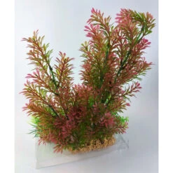 Zolux Déco Plantkit Idro N°1. Plantes Artificielles. 7 Pieces. H 36 Cm. Décoration D'aquarium. 12 Zolux Déco Plantkit Idro N°1. Plantes Artificielles. 7 Pieces. H 36 Cm. Décoration D'aquarium. -lacompagniedesanimaux 3336023521503 4