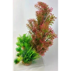 Zolux Déco Plantkit Idro N°1. Plantes Artificielles. 7 Pieces. H 36 Cm. Décoration D'aquarium. 13 Zolux Déco Plantkit Idro N°1. Plantes Artificielles. 7 Pieces. H 36 Cm. Décoration D'aquarium. -lacompagniedesanimaux 3336023521503 5