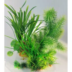 Zolux Déco Plantkit Idro N°3 Plantes Artificielles 6 Pieces H 28 Cm Décoration D'aquarium 12 Zolux Déco Plantkit Idro N°3 Plantes Artificielles 6 Pieces H 28 Cm Décoration D'aquarium -lacompagniedesanimaux 3336023521527 4