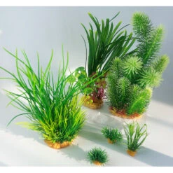 Zolux Déco Plantkit Idro N°3 Plantes Artificielles 6 Pieces H 28 Cm Décoration D'aquarium 13 Zolux Déco Plantkit Idro N°3 Plantes Artificielles 6 Pieces H 28 Cm Décoration D'aquarium -lacompagniedesanimaux 3336023521527 5