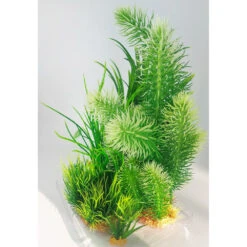 Zolux Déco Plantkit Idro N°3 Plantes Artificielles 6 Pieces H 28 Cm Décoration D'aquarium 14 Zolux Déco Plantkit Idro N°3 Plantes Artificielles 6 Pieces H 28 Cm Décoration D'aquarium -lacompagniedesanimaux 3336023521527 6