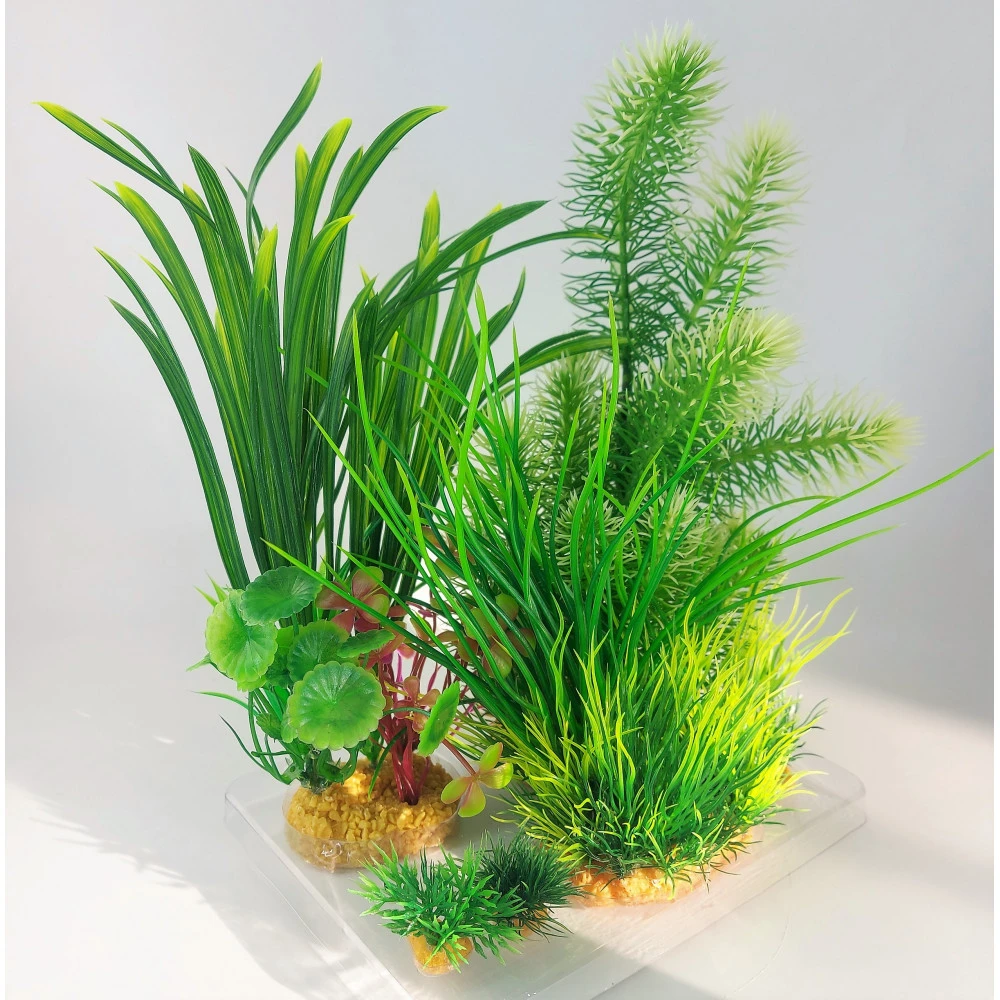 Zolux Déco Plantkit Idro N°3 Plantes Artificielles 6 Pieces H 28 Cm Décoration D'aquarium 9 Zolux Déco Plantkit Idro N°3 Plantes Artificielles 6 Pieces H 28 Cm Décoration D'aquarium – Image 7
