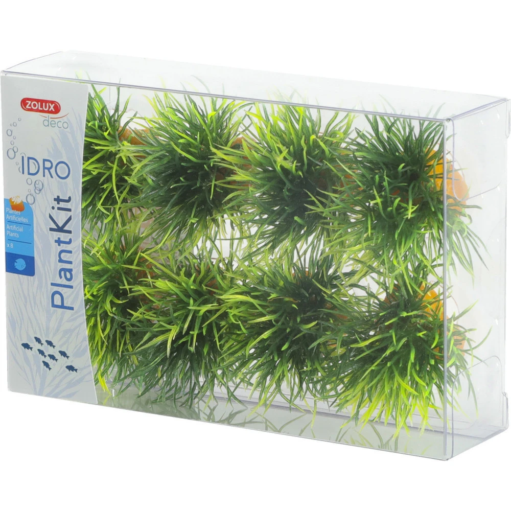Zolux 8 Petits Buissons Déco Plant Kit Idro Hauteur 3 Cm ø 3.5 Cm Pour Aquarium 6 Zolux 8 Petits Buissons Déco Plant Kit Idro Hauteur 3 Cm ø 3.5 Cm Pour Aquarium – Image 4