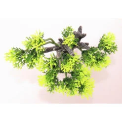 Zolux Décoration Africa Baobab Taille S. Aquarium. -lacompagniedesanimaux 3336023522197 5