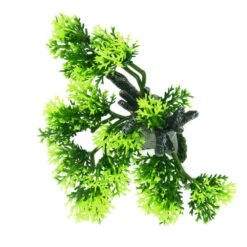 Zolux Décoration Africa Baobab Taille S. Aquarium. -lacompagniedesanimaux 3336023522197 7