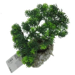 Zolux Diffuseur Bouddha Bonzaï 14,5 X 12 X 20 Cm, Décoration Aquarium -lacompagniedesanimaux 3336023538303 4