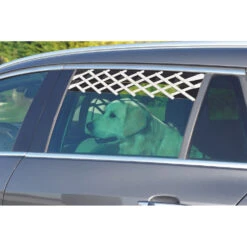 Zolux Grille De Sécurité Fenêtre De Voiture. Pour Chien. -lacompagniedesanimaux 3336024030196 3