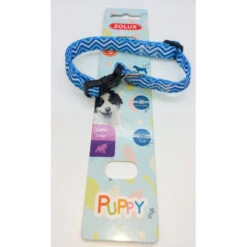 Zolux Collier PUPPY PIXIE 13 Mm 25 à 39 Cm Couleur Bleu Pour Chiots -lacompagniedesanimaux 3336024667446 1