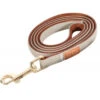 Zolux Laisse IMAO MAYFAIR. 15 Mm. X 1.2 Mètre. Couleur Taupe. Pour Chien. -lacompagniedesanimaux 3336024667651 1