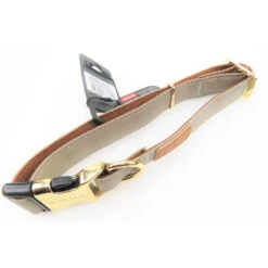 Zolux Collier IMAO MAYFAIR. 25 Mm. Réglable. Couleur Taupe. Pour Chien. -lacompagniedesanimaux 3336024667705 4