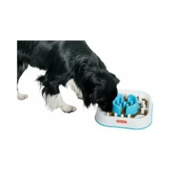 Zolux-Ecuelle Anti-glouton Carre -lacompagniedesanimaux 3336024741443 4