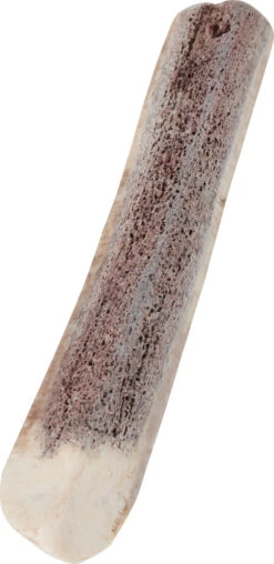 Zolux Bâton à Mâcher En Bois De Cerf Biseauté Puppy, Environ 15 Cm, Pour Chiot.