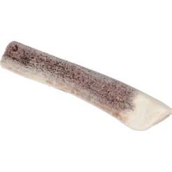 Zolux Bâton à Mâcher En Bois De Cerf Biseauté Puppy, Environ 15 Cm, Pour Chiot. -lacompagniedesanimaux 3336024823156 6