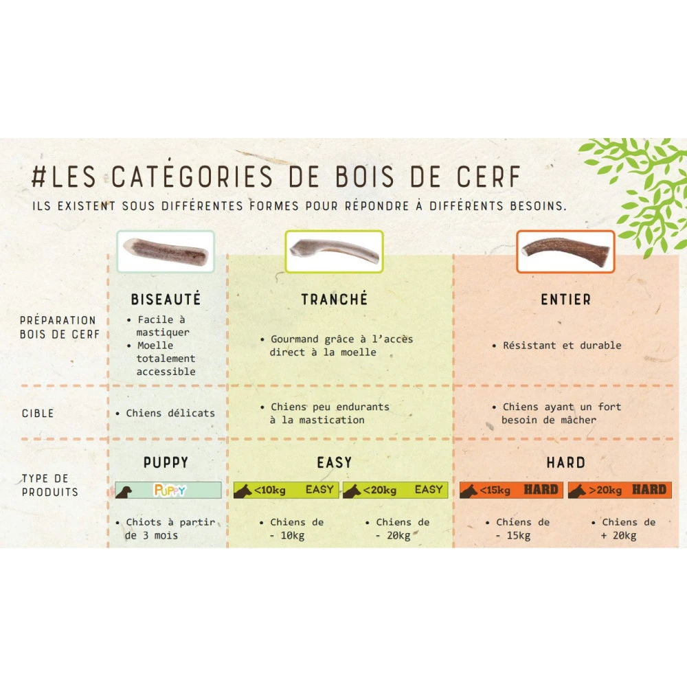 Zolux Bâton à Mâcher Bois De Cerf Entier Hard, Environ 15 Cm, Pour Chien - De 15 Kg 6 Zolux Bâton à Mâcher Bois De Cerf Entier Hard, Environ 15 Cm, Pour Chien - De 15 Kg – Image 5