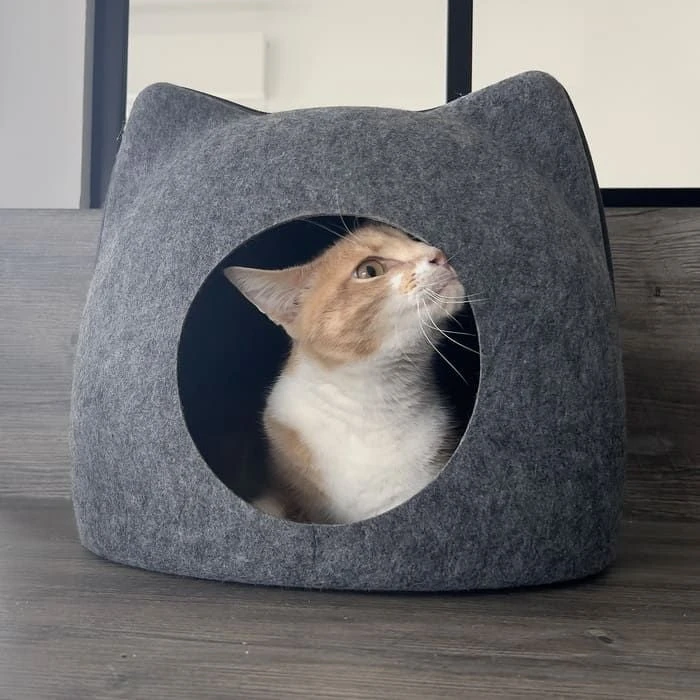 Zolux Moon Niche Pour Chat 41 X 38 X 36.5 Cm 5 Zolux Moon Niche Pour Chat 41 X 38 X 36.5 Cm – Image 3