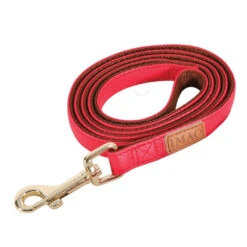 Zolux Laisse IMAO MAYFAIR 15 Mm X 1.2 Mètre Rouge Pour Chien. -lacompagniedesanimaux 3336026667659 1