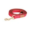 Zolux Laisse IMAO MAYFAIR 15 Mm X 1.2 Mètre Rouge Pour Chien. 1 Zolux Laisse IMAO MAYFAIR 15 Mm X 1.2 Mètre Rouge Pour Chien. -lacompagniedesanimaux 3336026667659 2