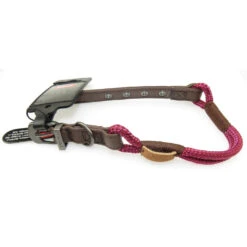 Zolux Collier IMAO 40 Cm X 6 Mm Hyde Park Fuchsia Pour Chien. -lacompagniedesanimaux 3336027667771 3