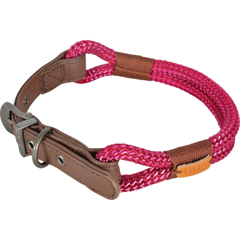 Zolux Collier IMAO 50 Cm X 9 Mm Hyde Park Fuchsia Pour Chien 4 Zolux Collier IMAO 50 Cm X 9 Mm Hyde Park Fuchsia Pour Chien – Image 2