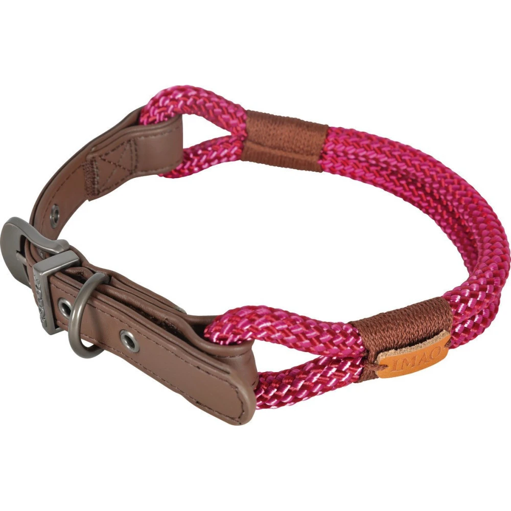 Zolux Collier IMAO 60 Cm X 11 Mm Hyde Park Fuchsia Pour Chien 4 Zolux Collier IMAO 60 Cm X 11 Mm Hyde Park Fuchsia Pour Chien – Image 2