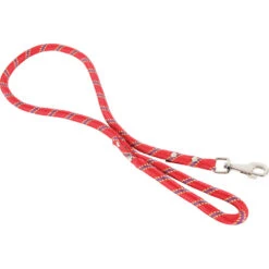 Zolux Laisse En Nylon Corde ø 13 Mm X 3 Mètres Rouge Pour Chien -lacompagniedesanimaux 3484154373024 1