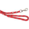 Zolux Laisse En Nylon Corde ø 13 Mm X 3 Mètres Rouge Pour Chien 2 Zolux Laisse En Nylon Corde ø 13 Mm X 3 Mètres Rouge Pour Chien -lacompagniedesanimaux 3484154373024 2