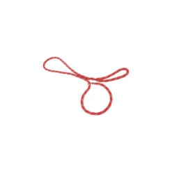 Zolux Laisse En Nylon Corde ø 13 Mm X 3 Mètres Rouge Pour Chien -lacompagniedesanimaux 3484154373024 3