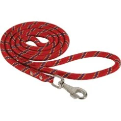 Zolux Laisse En Nylon Corde ø 13 Mm X 3 Mètres Rouge Pour Chien -lacompagniedesanimaux 3484154373024 4