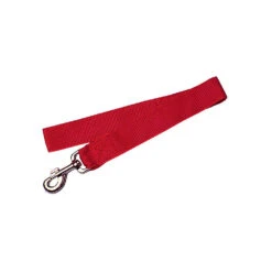 Zolux Laisse Nylon XL 60 Cm Rouge Pour Chien -lacompagniedesanimaux 3660167001325 1