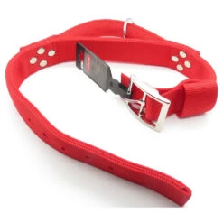 Zolux Collier Avec Poignée T 65cm . Rouge Pour Chien. -lacompagniedesanimaux 3660167007464 3