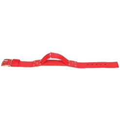 Zolux Collier Avec Poignée T 65cm . Rouge Pour Chien. -lacompagniedesanimaux 3660167007464 4