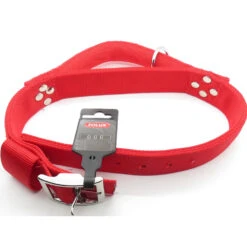Zolux Collier Avec Poignée T 70 Cm. Rouge Pour Chien. -lacompagniedesanimaux 3660167007488 3