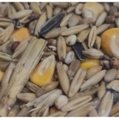 Zolux Aliment Composé Mélange Pour Poules Pondeuses 4 Kg Basse Cour 8 Zolux Aliment Composé Mélange Pour Poules Pondeuses 4 Kg Basse Cour -lacompagniedesanimaux 3701451008054 2 1