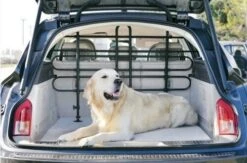 Zolux Grille Pare-chien Universelle Voiture