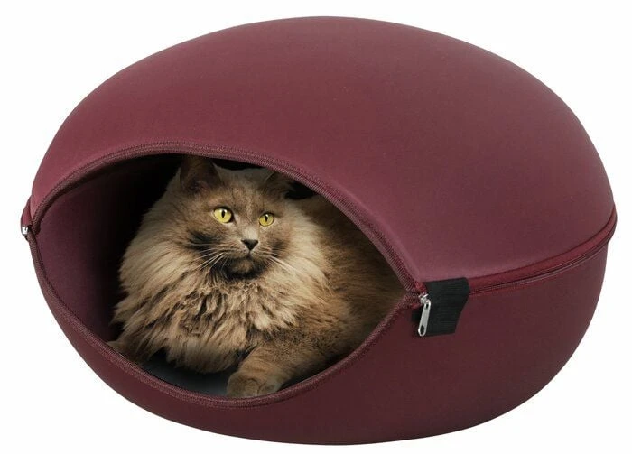 Zolux Dôme Louna 2 En 1 Bordeaux Pour Chat 3 Zolux Dôme Louna 2 En 1 Bordeaux Pour Chat