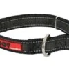 Zolux Collier Réglable MOOV Noir 25 Mm - Destockage -lacompagniedesanimaux zolux collier re glable moov noir 25 mm