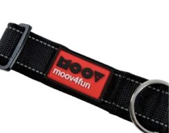 Zolux Collier Réglable MOOV Noir 25 Mm - Destockage -lacompagniedesanimaux zolux collier re glable moov noir 25 mm3