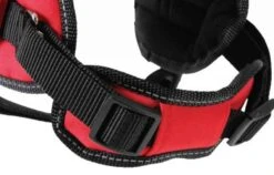 Zolux Harnais Confort Réglable MOOV Rouge S - Destockage -lacompagniedesanimaux zolux harnais confort re glable s4