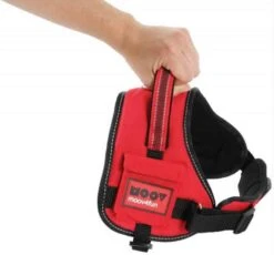 Zolux Harnais Confort Réglable MOOV Rouge S - Destockage -lacompagniedesanimaux zolux harnais confort re glable s6
